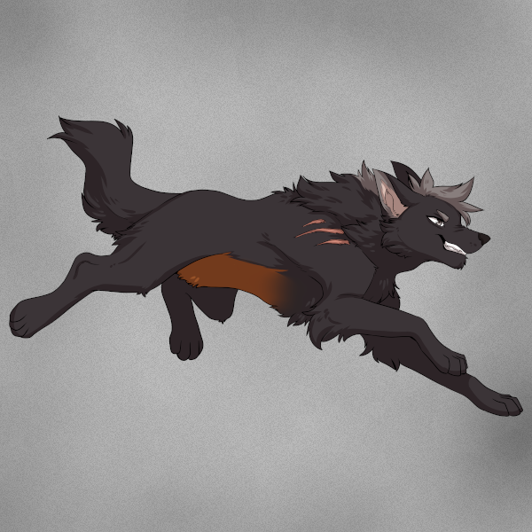 Wolf Companion